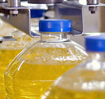 Palm Oil Supply